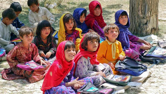 令人心动的免费测试呼死你