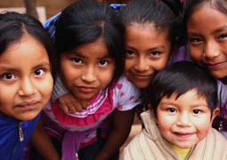 无限发短信验证码软件